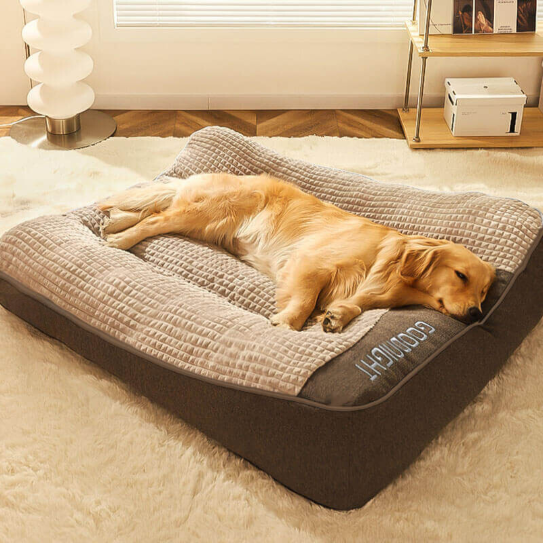 Grand coussin épais et résistant aux rayures pour chien