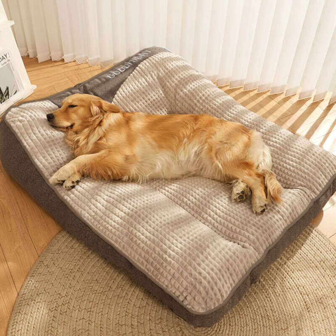 Grand coussin épais et résistant aux rayures pour chien