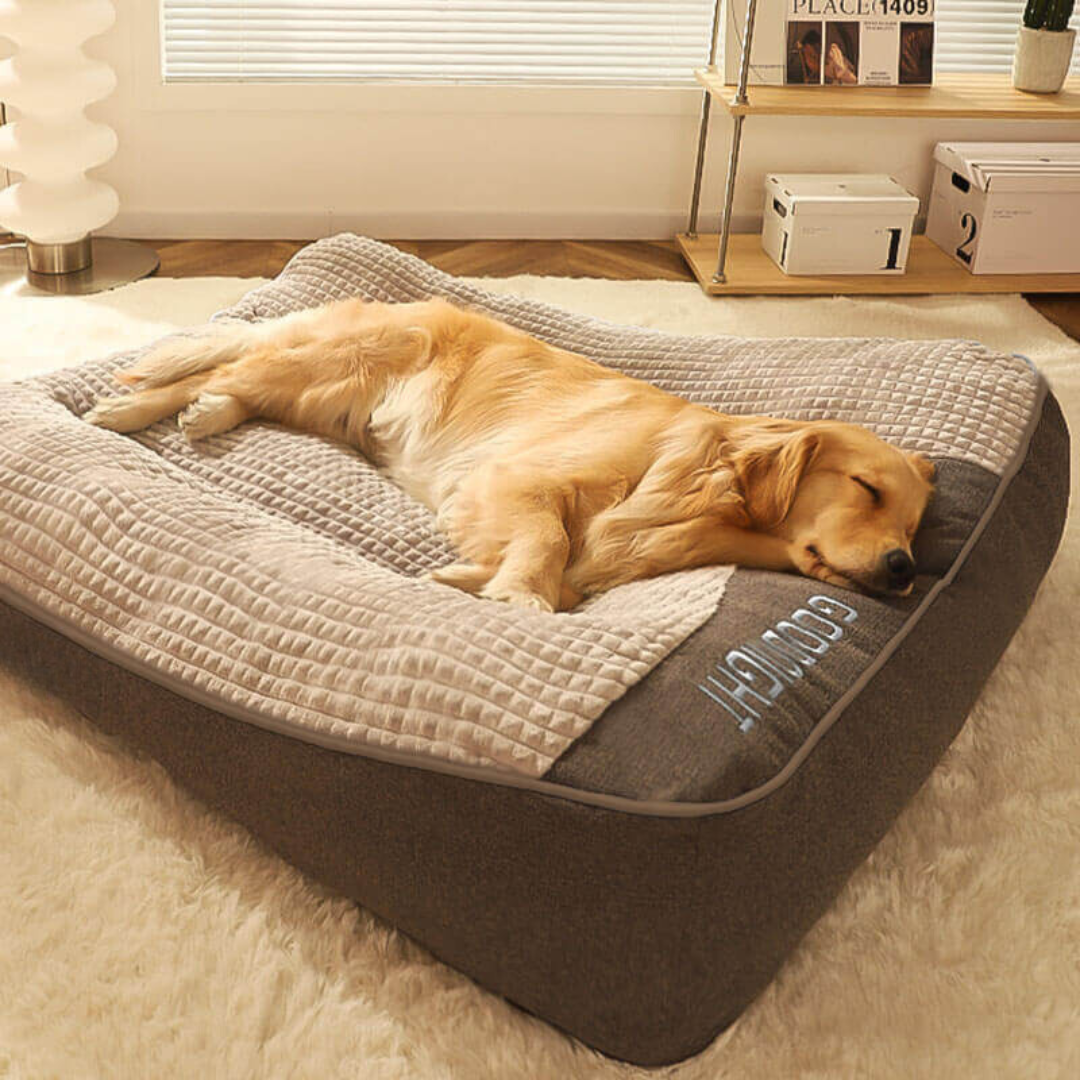 Grand coussin épais et résistant aux rayures pour chien