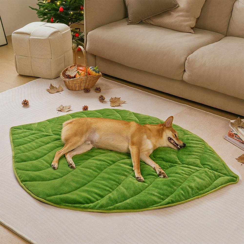 Plush Leaf-Shaped Washable Dog Mat-The Leaf Collector